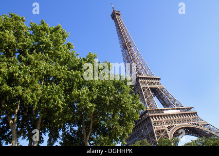 Parigi Francia,7° arrondissement,Quai Branly,Torre Eiffel,France130819165 Foto Stock