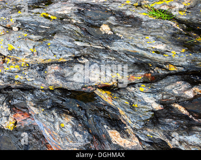Dettaglio delle texture di roccia closeup sfondo. Foto Stock