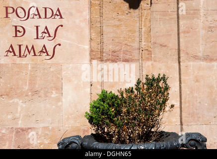 Il logo "Posada de las Almas' scritta sulla barra, Salamanca, Vecchia Castiglia, Castiglia-Leon, Spagna, Europa Foto Stock