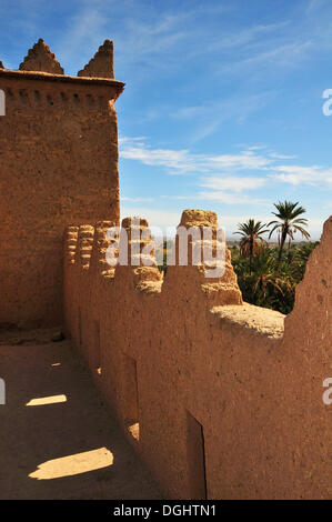 Ksar, adobe architettura, Valle di Draa Marocco Foto Stock