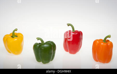 La paprica colorati peperoni, giallo, verde, rosso, arancione, studio fotografico Foto Stock