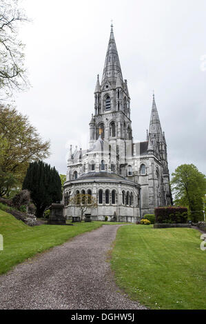 Saint Fin Barre's Cathedral, sughero, County Cork, Irlanda, Europa Foto Stock