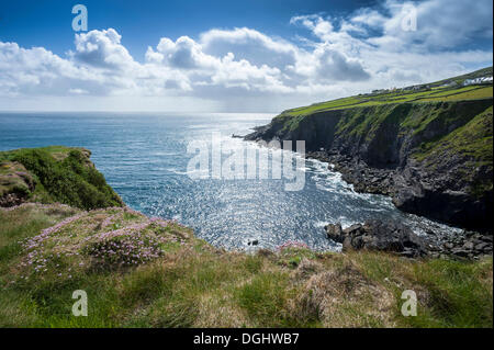 Sulla costa dell'Atlantico, la penisola di Dingle, nella contea di Kerry, Repubblica di Irlanda, Europa Foto Stock