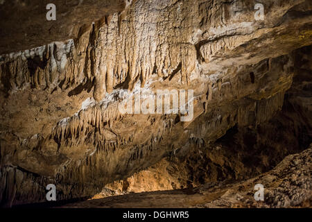 Grotte di Marble Arch, Tribunale di Firenze Demesme County Fermanagh, Irlanda del Nord, Regno Unito, Europa Foto Stock