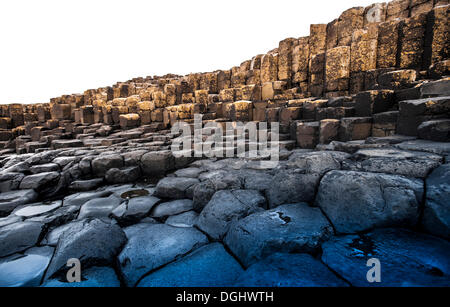 Rocce di basalto, Giant Causeway, Coleraine, Irlanda del Nord, Regno Unito, Europa Foto Stock