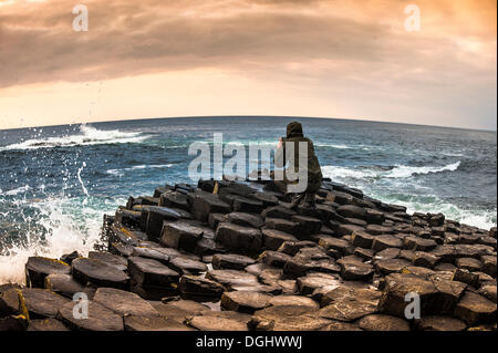 Uomo di prendere foto con uno smartphone, Giant's Causeway, colonne di basalto, Causeway Coast, County Antrim, Irlanda del Nord Foto Stock