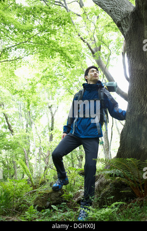 Un uomo passeggiare nei boschi Foto Stock