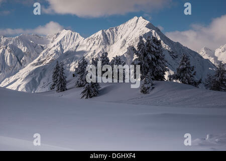 Alpi, Parseierspitze e Rauer Kopf montagne da Venet montagna, Venet, Zams, Tirolo, Austria Foto Stock