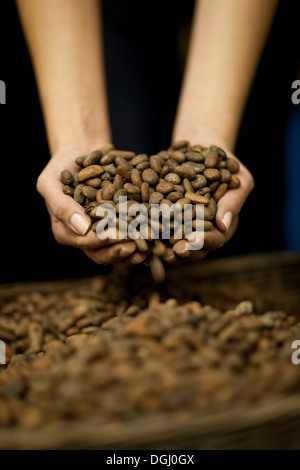 Mani a tazza con pugno di fave di cacao Foto Stock