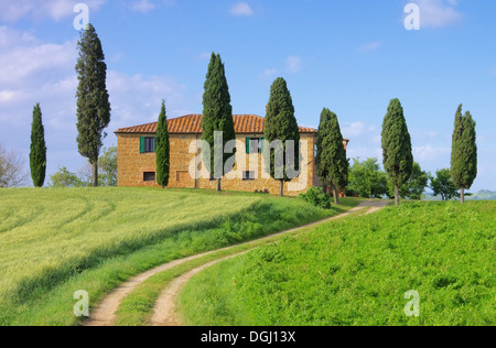 Toskana Haus - TOSCANA CASA 24 Foto Stock