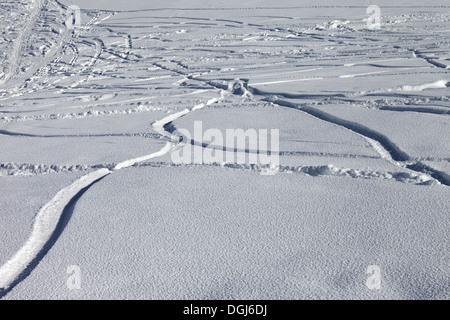 Tracciato di sci e di snowboard in nuovo-caduta neve fuori pista Slope Foto Stock