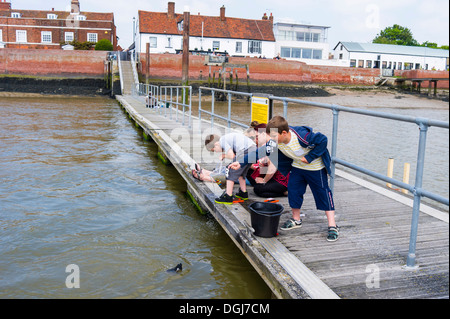 Carbbing dal molo a Burnham on Crouch. Foto Stock