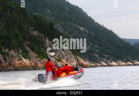 I turisti in un gommone Zodiac barca dall'Otis Escursioni Inc. azienda sul fiordo di Saguenay Fjord, Tadoussac, Canada Foto Stock