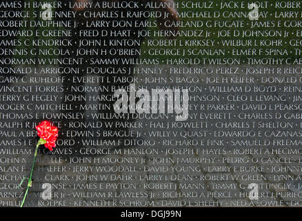 Red Carnation nella parte anteriore di un tablet con i nomi dei caduti soldati USA, National Memorial a quelli uccisi nella Guerra del Vietnam Foto Stock