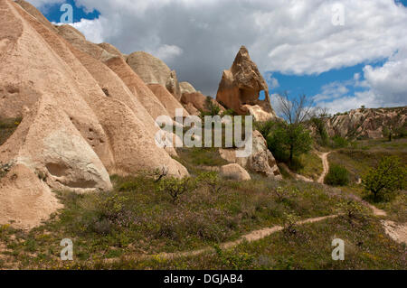 Paesaggio con weathered formazioni di tufo, valle delle rose, parco nazionale di Göreme, nei pressi di Göreme, Cappadocia, Nevşehir Provincia Foto Stock