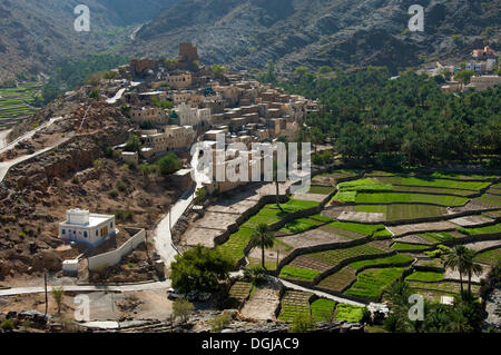 Oasi di montagna di Balad Seet con superfici irrigate campi terrazzati, Balad Seet, Oman Foto Stock