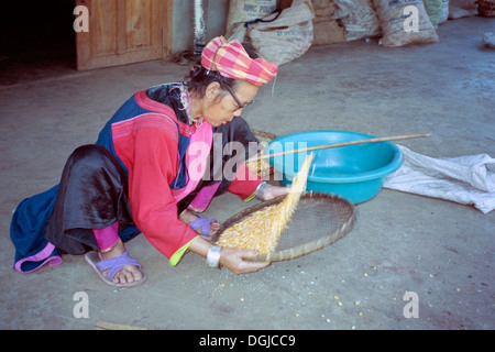 Anziana donna locale indossando il tradizionale abbigliamento di minoranza setacci di mais in un villaggio a nord della Thailandia Foto Stock