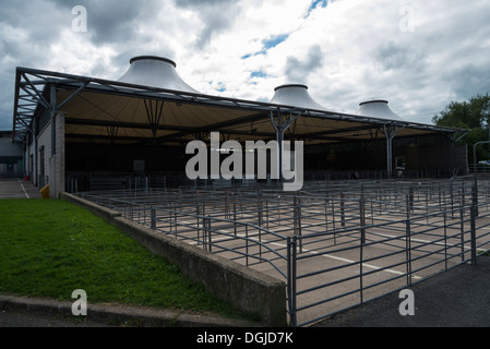 Animale penne a Bakewell mercato del bestiame Derbyshire Inghilterra Foto Stock