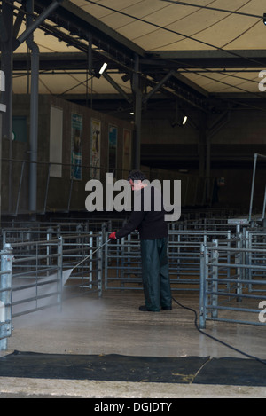 L'uomo /lavoratore utilizzando un tubo flessibile a spruzzo verso il basso lavaggio animale penne a Bakewell mercato del bestiame Derbyshire Inghilterra Foto Stock