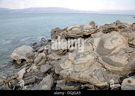 I cristalli di sale sulla riva, Mar Morto, Cisgiordania, Israele, Medio Oriente Foto Stock