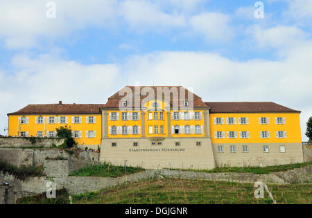 Membro dei vigneti, Meersburg sul Lago di Costanza, Baden-Wuerttemberg Foto Stock