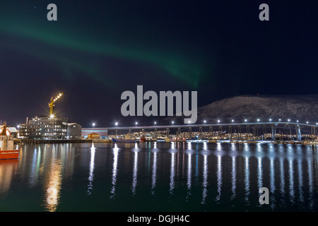 Aurora boreale o le luci del nord in movimento attraverso il cielo notturno entro il Circolo Polare Artico Tromso Troms regione Norvegia Foto Stock