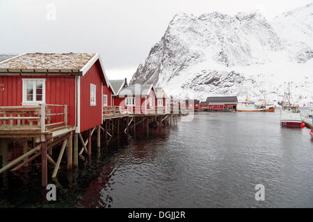 Villaggio di Pescatori con casette rosso accanto a un fiordo in inverno, la Reine, Lofoten, Nordland, Norvegia settentrionale, Norvegia Foto Stock