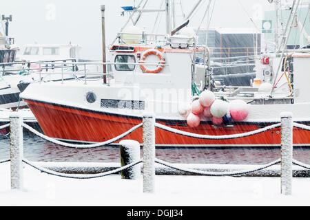 Barche da pesca in porto durante la nevicata, Svolvaer, Svolvaer, Lofoten, Nordland, Norvegia settentrionale, Norvegia Foto Stock