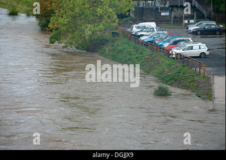 Hay-on-Wye, Powys, Regno Unito. Il 22 ottobre 2013. Dopo diversi giorni di pioggia pesante, la terra sta diventando saturo e acqua è acceso spento le montagne del fiume causando livelli per aumentare considerevolmente. Ci sono attualmente 11 alluvione avvisi per il Galles e un totale di 31 per il Regno Unito. Photo credit: Graham M. Lawrence/Alamy Live News. Foto Stock