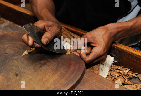 Uomo di tagliare il wrapper di un sigaro, fabbrica di sigari in Punta Cana Repubblica Dominicana, dei Caraibi Foto Stock