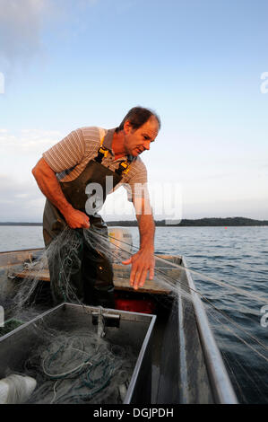 Il pescatore Johann Strobl casting per pescare sul Lago di Starnberg, area Fuenfseenland, Alta Baviera, Baviera Foto Stock