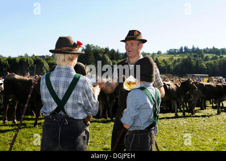 Due giovani ragazzi e un pastore durante la Almabtrieb, cattle drive, Viehscheid, ordinamento di capi di bestiame in Pfronten, Ostallgaeu Foto Stock