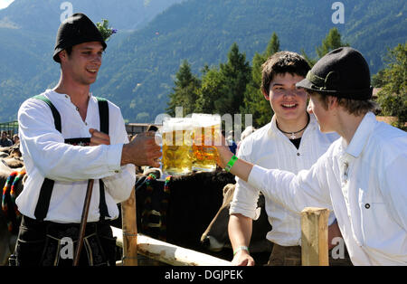 Almabtrieb, cattle drive, Viehscheid, ordinamento di capi di bestiame in Pfronten, Ostallgaeu, Allgaeu, Svevia, Bavaria Foto Stock