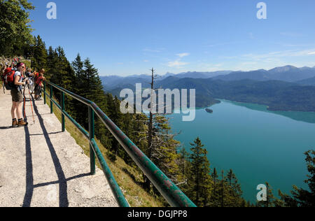 Gli escursionisti su Mt. Herzogstand, affacciato sul Lago Walchensee, Bad Toelz-Wolfratshausen distretto, Alta Baviera, Baviera Foto Stock