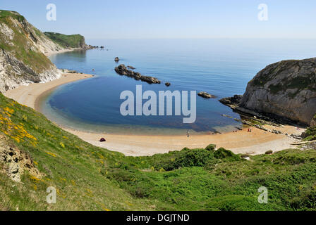 Uomo O'guerra Cove, Lulworth, Dorset, Inghilterra meridionale, England, Regno Unito, Europa Foto Stock