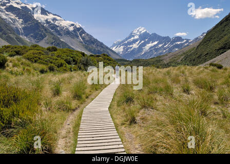 Il Boardwalk presso il Hooker Valley a piedi nella parte anteriore del Mount Cook, il Parco nazionale di Mount Cook, isola del Sud, Nuova Zelanda Foto Stock