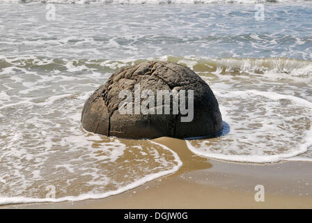 Boulder sulla spiaggia, formazione geologica del Moeraki massi Moeraki, East Coast, Isola del Sud, Nuova Zelanda Foto Stock