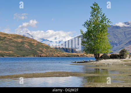 Vista sul lago Wanaka per montare gli aspiranti, Isola del Sud, Nuova Zelanda Foto Stock