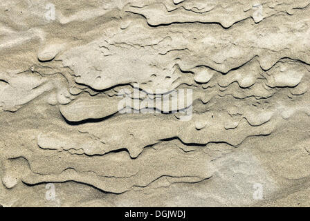 Struttura di sabbia sulla spiaggia, Farewell Spit Riserva Naturale, Golden Bay, Isola del Sud, Nuova Zelanda Foto Stock