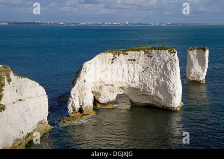 Vecchio Harry rocce che sono formazioni di gesso a largo della costa vicino a Studland. Foto Stock