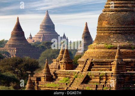 I templi e pagode di Bagan in Myanmar in mattina presto. Foto Stock