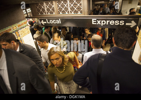 Mattina ora di punta sul 4,5 & 6 metropolitana linea sul lato est di Manhattan. 42Nd St. Grand Central Station. Foto Stock
