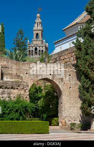 Spagna Andalusia, Sevilla, arcata nel palazzo di Alcazar e la torre Giralda dietro Foto Stock