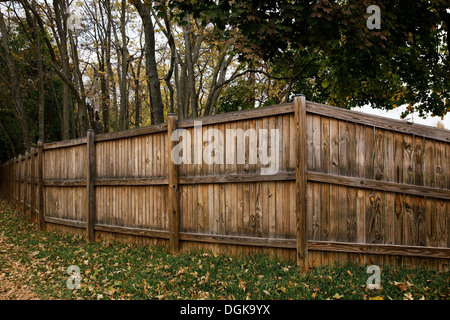 Staccionata in legno che racchiude gli alberi Foto Stock