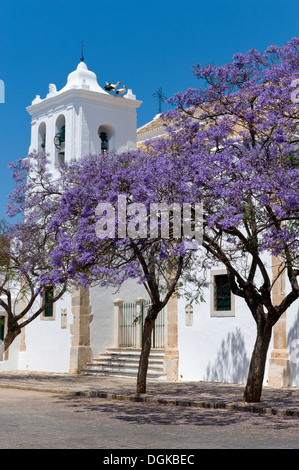 Il Portogallo, Algarve, Faro, alberi di jacaranda in fiore da Igreja de Sao Pedro chiesa, con un' cicogne nidificano sulla torre Foto Stock