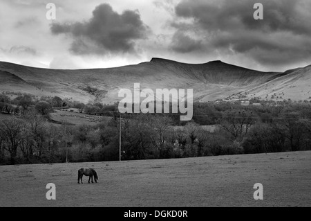 Foto di Pen Y la ventola e il mais Du, preso dalla A470 tra Brecon e Libanus. Foto Stock