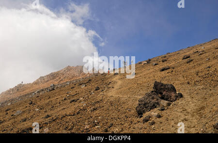 Gli escursionisti sul Monte Ruapehu, Tongariro National Park, North Island, Nuova Zelanda Foto Stock