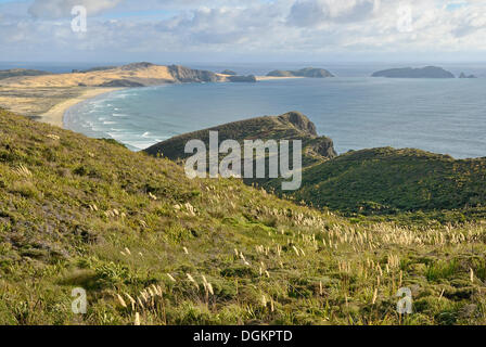 Te Werahi Beach con Capo Maria van Diemen vicino a Cape Reinga, Isola del nord, Nuova Zelanda Foto Stock