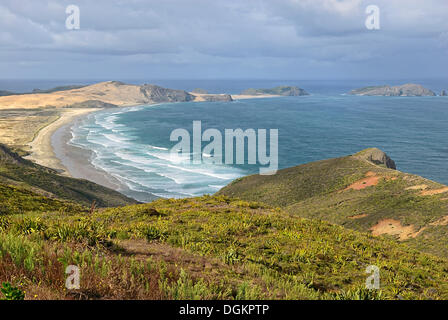 Te Werahi Beach a Cape Maria van Diemen, vicino a Cape Reinga, Isola del nord, Nuova Zelanda Foto Stock