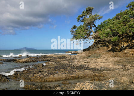 Langs Beach, orate Bay, East Coast, Isola del nord, Nuova Zelanda Foto Stock